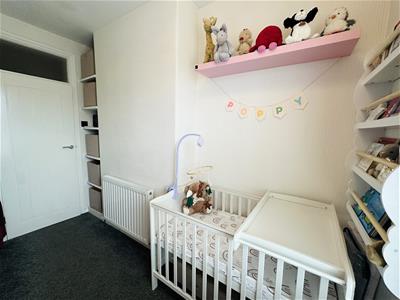 Picture 13